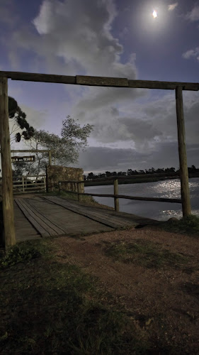 Comentarii opinii despre Perla Negra