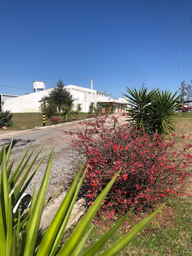 Opinii despre Granja San José în Ecilda Paullier - Gastronomía y hostelería