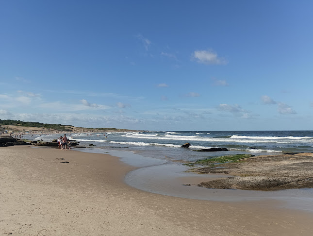 Comentarii opinii despre Restopub 70