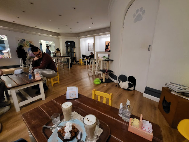 Opinii despre ADRIANUZCA'S CAT CAFÉ ☕🐈 în Punta del Este - Gastronomía y hostelería