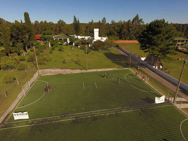 Cancha Apolo - Gastronomía y hostelería