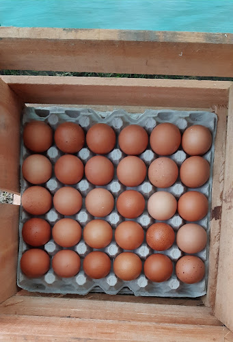 Frutas & Hortalizas "NAHUEL" - Montevideo