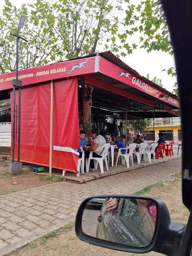 Comentarii opinii despre Trailer Galgo