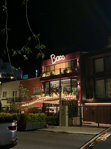 Baco Vino y Bistro - Gastronomía y hostelería