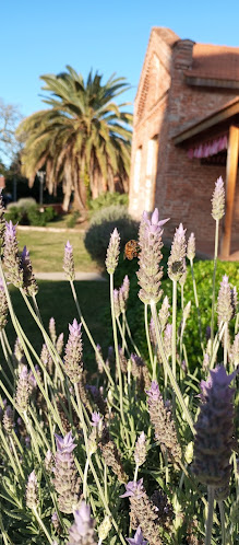 Comentarii opinii despre Green Star