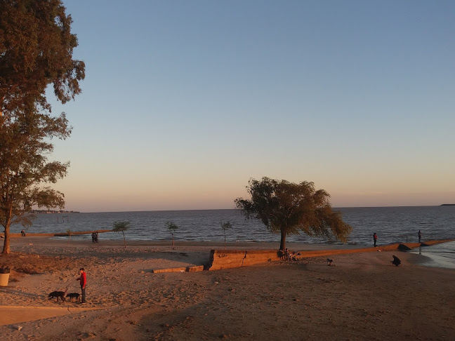 Hipódromo bar - Gastronomía y hostelería