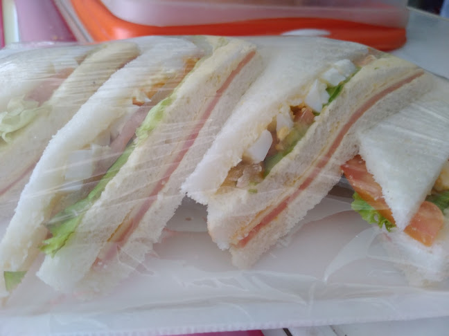 Acceso a Puente Internacional 953, 60000 Nuevo Paysandu, Departamento de Paysandú