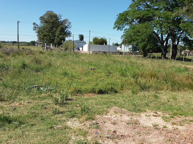 Opinii despre Galpon diego în Tacuarembó - Gastronomía y hostelería