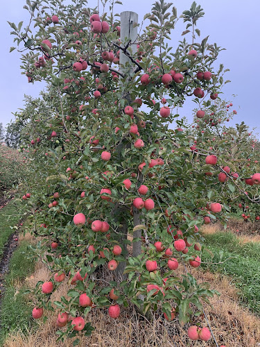 Establecimiento OVC - Canelones