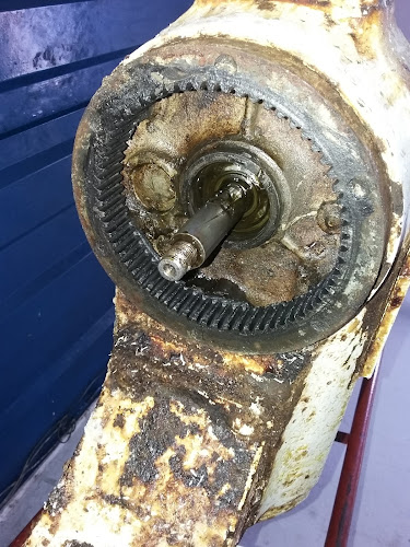 Comentarii opinii despre Nueva Cooper