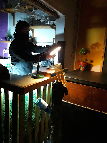 Opinii despre Castaña în Sarandí Grande - Gastronomía y hostelería