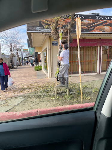 El Progreso - Gastronomía y hostelería
