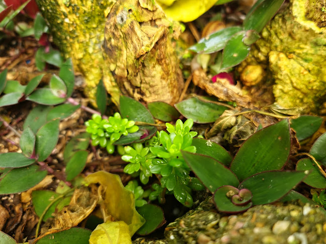 Lo de Joselo - Gastronomía y hostelería