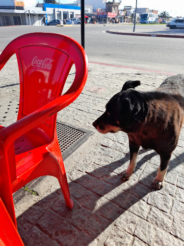 Punto y Aparte - Libertad