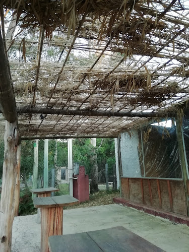 Comentarii opinii despre Tradhac Pizzería