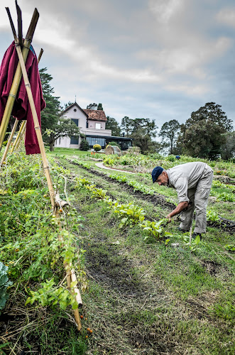 Los Ceibos, 70000 Col. del Sacramento, Departamento de Colonia