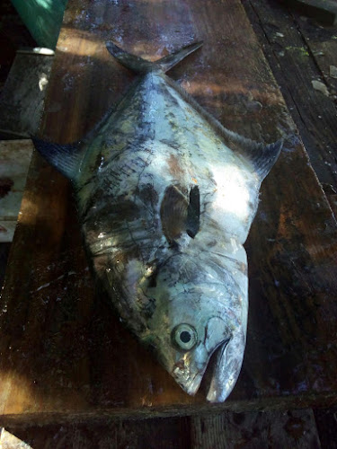 Argonauta, 15100 Neptunia, Departamento de Canelones