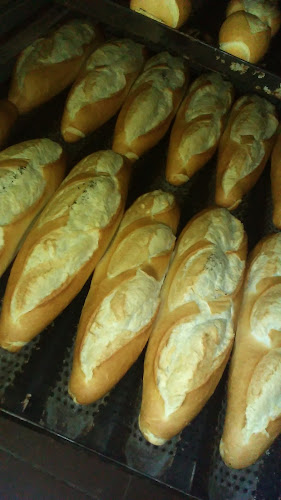 Comentarii opinii despre PANADERÍA EL MOLINO