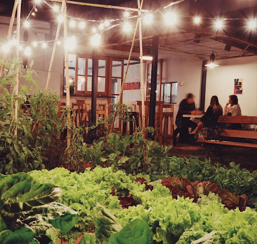 Opinii despre c în Montevideo - Gastronomía y hostelería