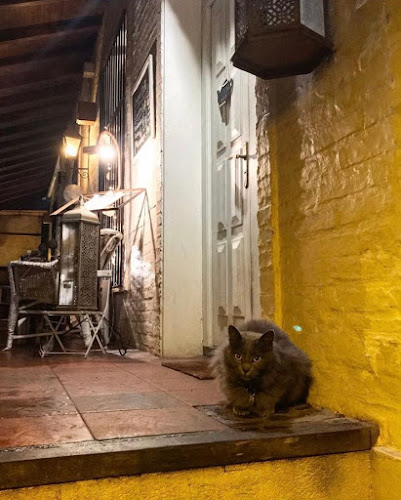 Maga Bar - Col. del Sacramento