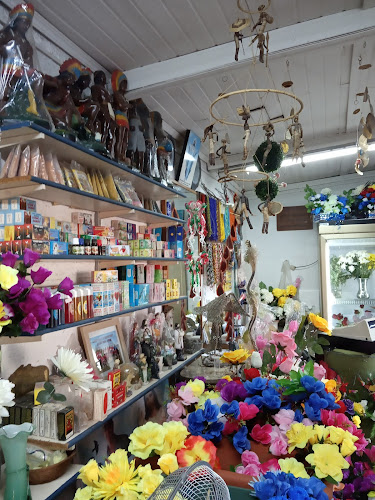 Acuña de Figueroa y Larrañaga, 50000 Salto