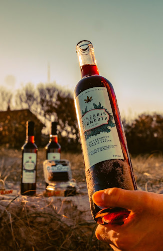 Wineabis - Ciudad de la Costa