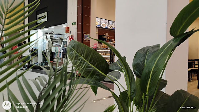 Pasteleria & Caffé Porto Vanila