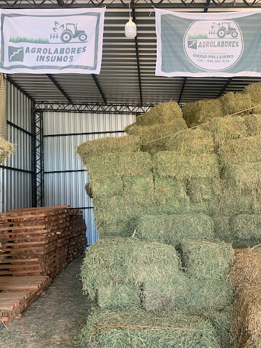 Comentarii opinii despre AGROLABORES INSUMOS