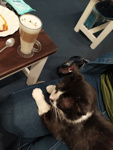 Av. Juan Gorlero 535, 20100 Punta del Este, Departamento de Maldonado