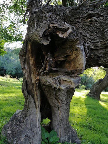 Comentarii opinii despre Parador La Rambla