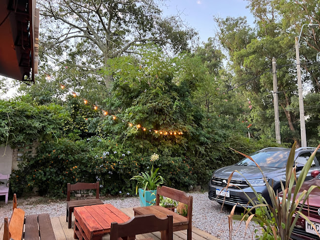 Restaurante Kamikaze Sushi