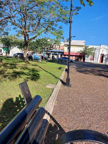 Rolo Pizza - Bella Unión