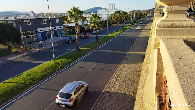 Pescadería La Sirenita - Gastronomía y hostelería