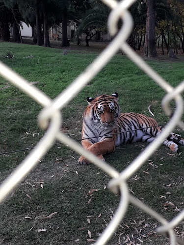 Comentarii opinii despre Morena Café