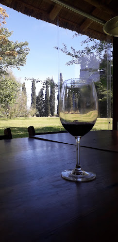 Comentarii opinii despre MonfrA winerestaurant