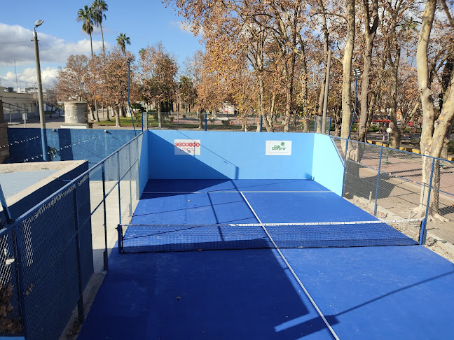 Opinii despre Uru Paddle în Nueva Palmira - Gastronomía y hostelería