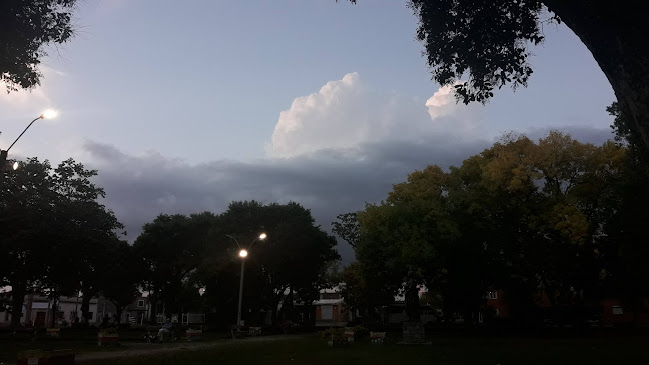 Carrito Tu Sabor - Carmelo