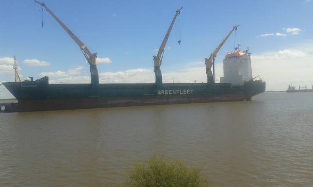 Eloy Garcia Garcia 1167, 70700 Nueva Palmira, Departamento de Colonia