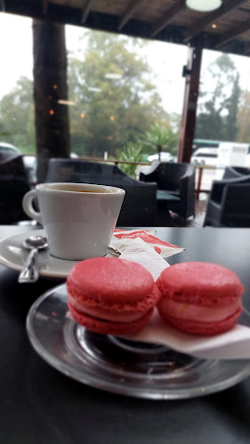 Café Lavazza Ancap - Gastronomía y hostelería