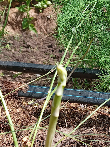 Cam. del Cerro Eguzquiza, 20000 Maldonado, Departamento de Maldonado