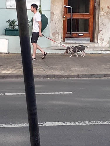 Pizzeria Siglo XXI - Gastronomía y hostelería