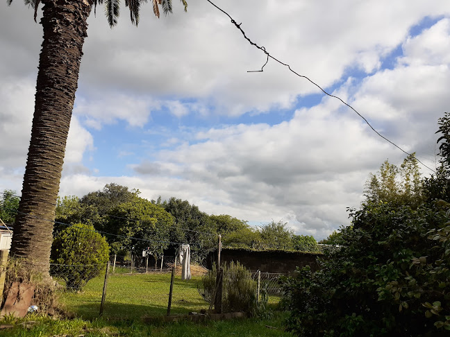 Chiveteria Lara - Melo