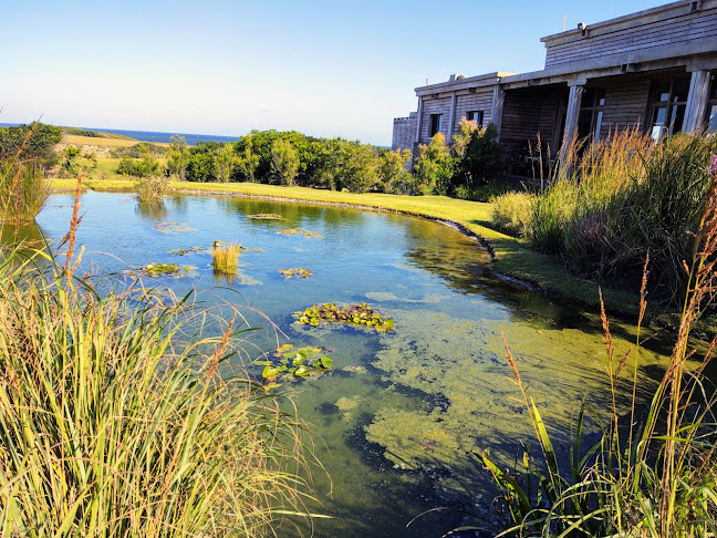 Comentarii opinii despre Restaurant Las Garzas