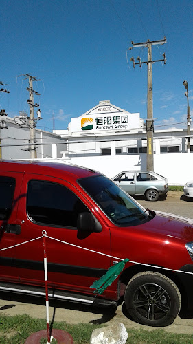 Comentarii opinii despre Frigorífico Rondatel