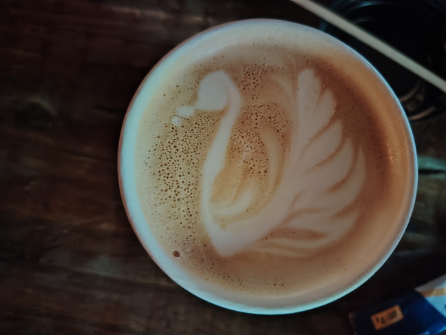 Brecha Bar y Cafe - Gastronomía y hostelería