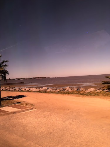 Comentarii opinii despre Club Deportivo. XSPORTING URUGUAY