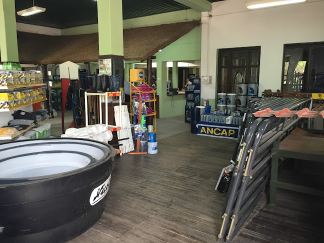 Opinii despre Agroventas Paso de los Toros în Paso de los Toros - Gastronomía y hostelería