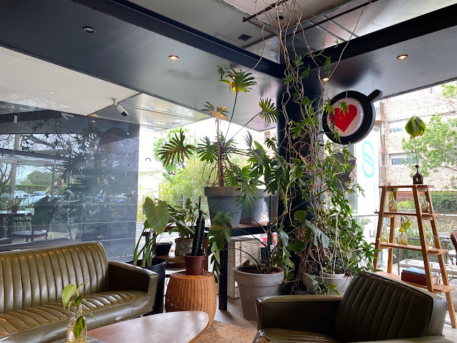 Comentarii opinii despre PLATZ Opta