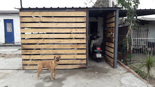 Opinii despre Pizzeria Zapa în 18 de Mayo - Gastronomía y hostelería