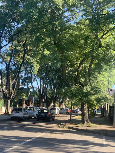 Comentarii opinii despre Decano